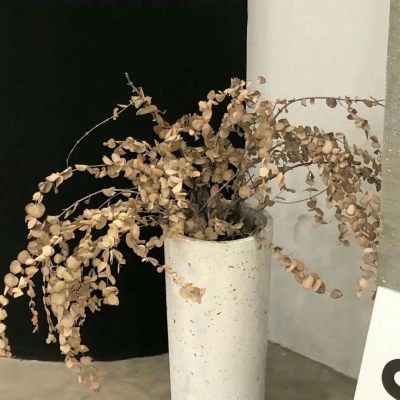 集安FurryQQ群介绍